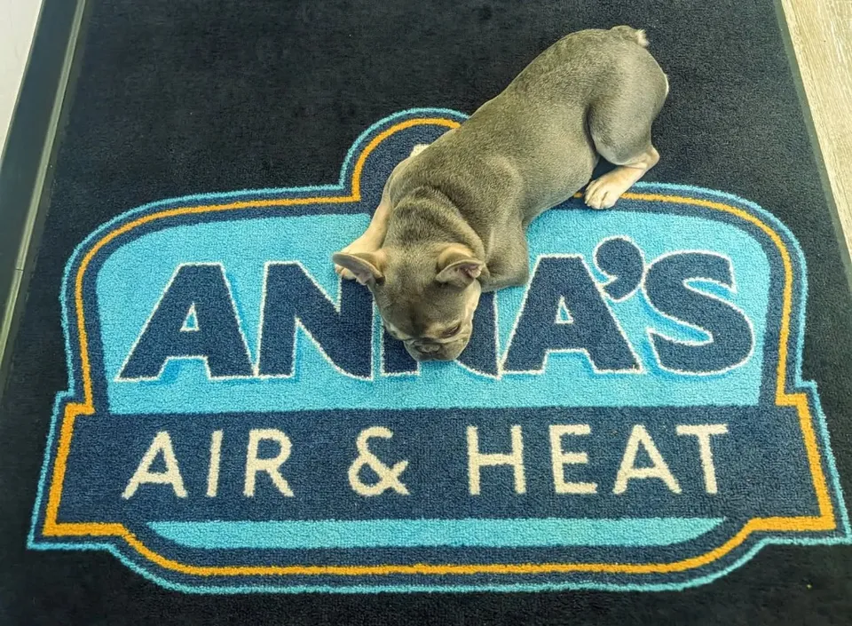 Dog on Anna's Air & Heat branded floor mat