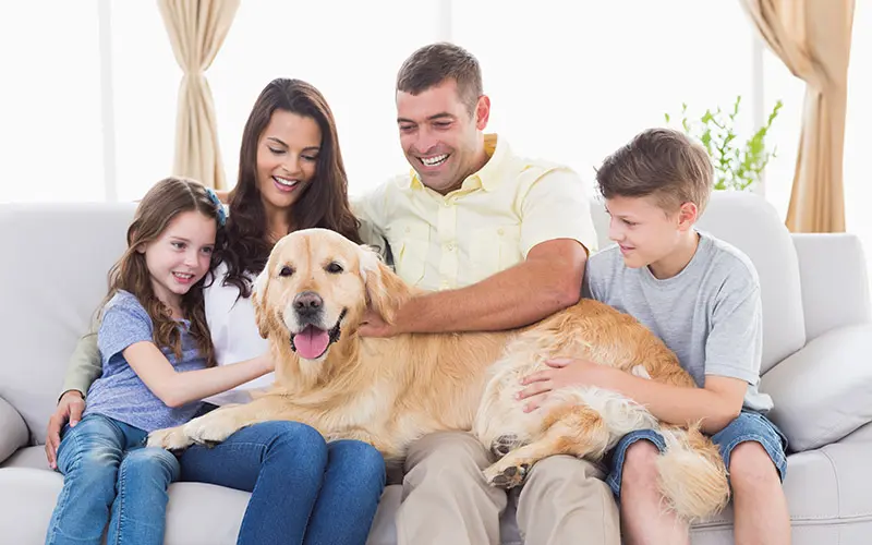 Common Issues that Impact Household Indoor Air Quality